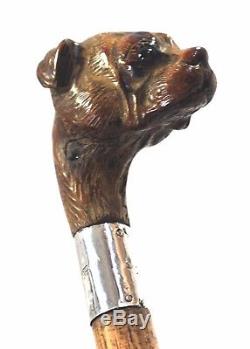 Old Carved Dog Head Walk Stick