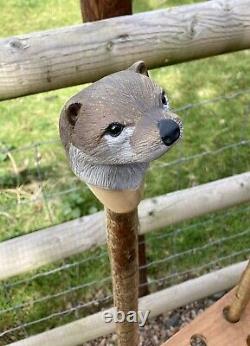 Otter Head Hand Carved in Lime wood Country Walking stick on Hazel Shank