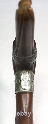 Outanding Carved Horn Greyhound withGlass Eyes Walking Stick Cane withSterling Band