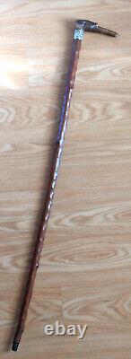 Outanding Carved Horn Greyhound withGlass Eyes Walking Stick Cane withSterling Band