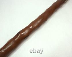 Outanding Carved Horn Greyhound withGlass Eyes Walking Stick Cane withSterling Band