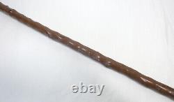 Outanding Carved Horn Greyhound withGlass Eyes Walking Stick Cane withSterling Band