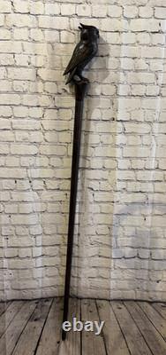 Owl Carving 140cm Tribal African Walking Stick Staff Cane Hand Carved Dark Wood