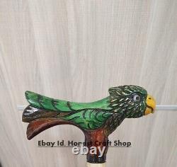 Parrot Head Handle Hand Carved Walking Cane Wooden Walking Stick Handmade B/G6