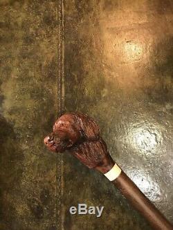 Purdey Gunstock Walnut Walking Stick Spaniel Dog Carved Shooting Pheasant