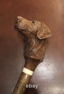 Purdey Walking Stick Hand Carved Walnut Shooting Labrador Gun dog Grouse Duck