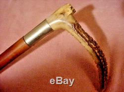 Quality Mans Vintage Carved Stag Antler Handled Cane Walking Stick