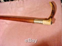 Quality Mans Vintage Carved Stag Antler Handled Cane Walking Stick