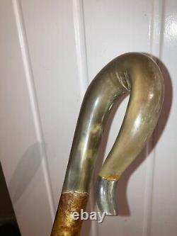 RAMS HORN crook on a hazel shank, walking and beaters stick 128 cm