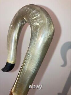 RAMS HORN crook on a hazel shank, walking and beaters stick 128 cm