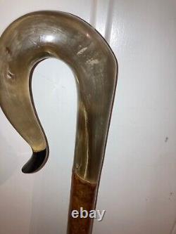 RAMS HORN crook on a hazel shank, walking and beaters stick 128 cm