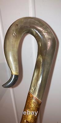 RAMS HORN crook on a hazel shank, walking and beaters stick 128 cm