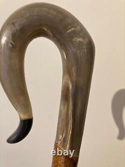 RAMS HORN crook on a hazel shank, walking and beaters stick 128 cm