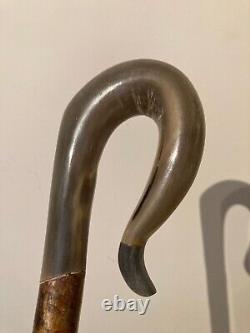 RAMS HORN crook on a hazel shank, walking and beaters stick 128 cm