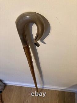 RAMS HORN crook on a hazel shank, walking and beaters stick 128 cm