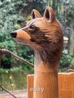 Raccoon Head Hand Carved in Lime wood Country Walking stick on Hazel Shank
