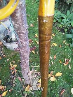 Rams Horn Carved Shepherds Crook / Walking Stick