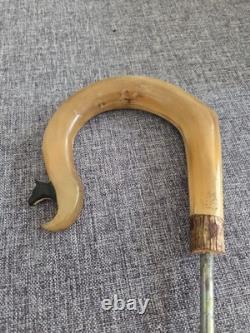 Rams Horn Crook Handle, Hand Carved Cow Head