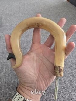 Rams Horn Crook Handle, Hand Carved Cow Head