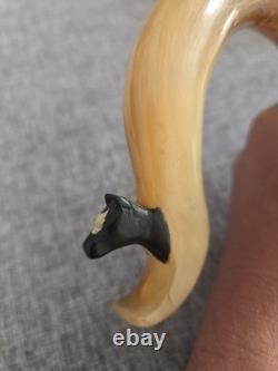 Rams Horn Crook Handle, Hand Carved Cow Head