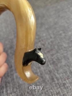 Rams Horn Crook Handle, Hand Carved Cow Head