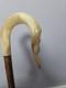 Rams Horn Shepherds Crook. Carved Ram Head, 46.5inch