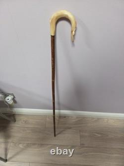 Rams Horn Shepherds Crook. Carved Ram Head, 46.5inch
