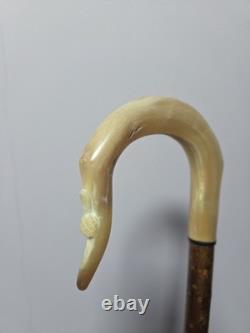 Rams Horn Shepherds Crook. Carved Ram Head, 46.5inch Rams Horn Shepherds Crook. Carved Ram Head, 46.5inch
