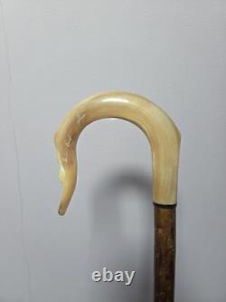 Rams Horn Shepherds Crook. Carved Ram Head, 46.5inch