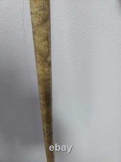 Rams Horn Shepherds Crook With Hand Carved Sheepdog. Hazel Shank. 53inch