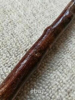 Rams Horn Walking Stick / Shepherds Crook with Scroll and Thistle Carving 49