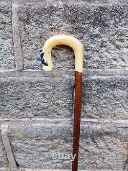Rams horn carved border collie walking stick / Shepherd's crook