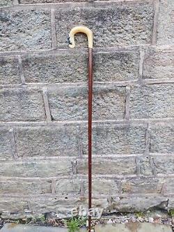 Rams horn carved border collie walking stick / Shepherd's crook