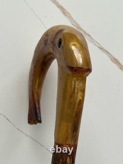 Rams horn carved hazel wood walking stick with Fish Salmon. 50