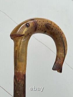 Rams horn carved hazel wood walking stick with Fish Salmon. 50