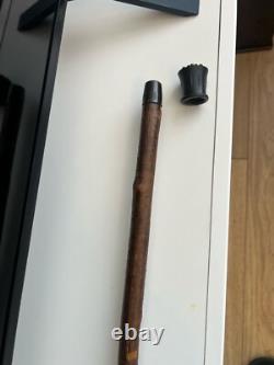 Rams horn carved hazel wood walking stick with Fish Salmon. 50