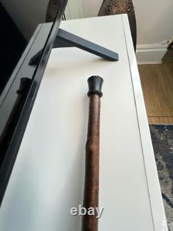 Rams horn carved hazel wood walking stick with Fish Salmon. 50