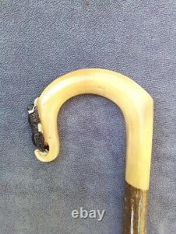 Rams horn walking stick with Border Collie carving (one of a His and Hers pair)
