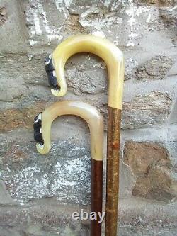 Rams horn walking stick with border collie carving (one of a His and Hers pair)