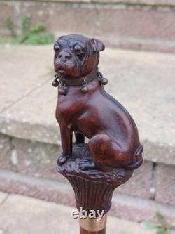 Rare Antique English Bulldog Intricately Hand Carved Walking Stick Pommel 4.5