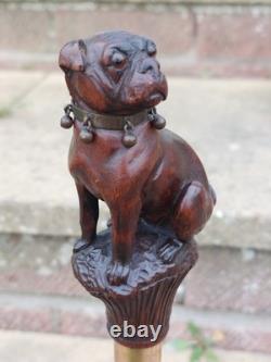 Rare Antique English Bulldog Intricately Hand Carved Walking Stick Pommel 4.5