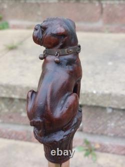 Rare Antique English Bulldog Intricately Hand Carved Walking Stick Pommel 4.5