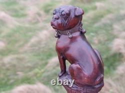 Rare Antique English Bulldog Intricately Hand Carved Walking Stick Pommel 4.5