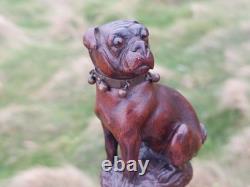 Rare Antique English Bulldog Intricately Hand Carved Walking Stick Pommel 4.5