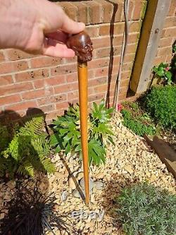 Rare Antique Walking Cane With Malacca Carved Pommel, Antique Walking Stick