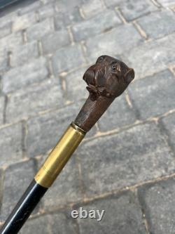 Rare Antique Walking Stick With Black Forest Carved Dog Handle Opening Mouth