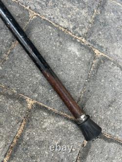 Rare Antique Walking Stick With Black Forest Carved Dog Handle Opening Mouth