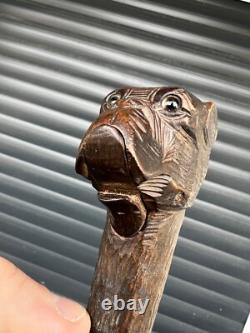 Rare Antique Walking Stick With Black Forest Carved Dog Handle Opening Mouth
