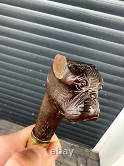 Rare Antique Walking Stick With Black Forest Carved Dog Handle Opening Mouth