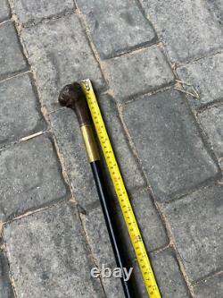 Rare Antique Walking Stick With Black Forest Carved Dog Handle Opening Mouth